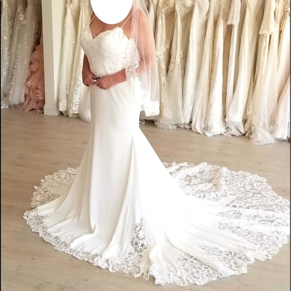 Dresses, Nwt Gorgeous Las Vegas Custom Wedding Dress Veil Never Worn